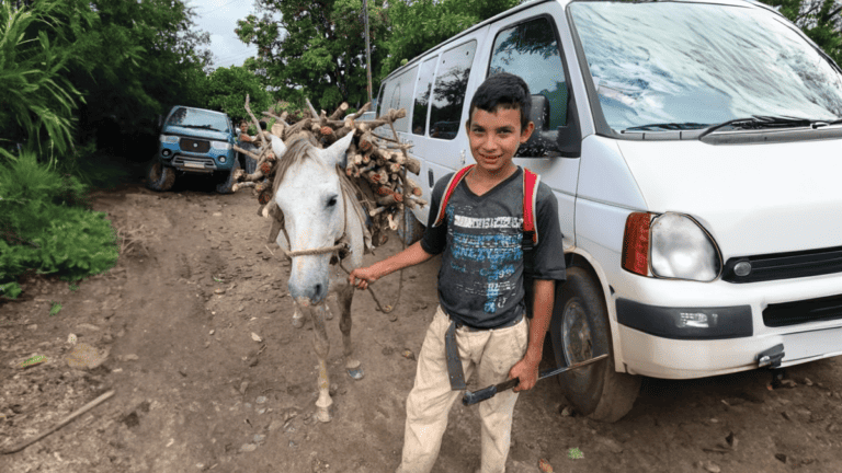 Pickups vs. Mules